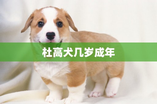 杜高犬幾歲成年