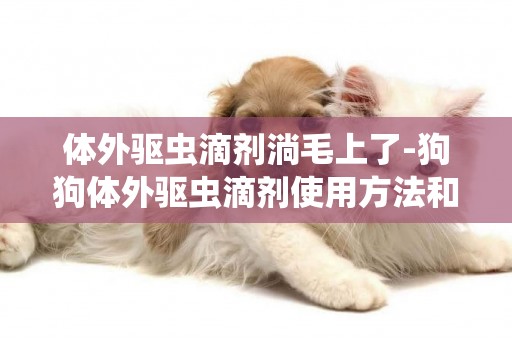 體外驅蟲滴劑淌毛上了-狗狗體外驅蟲滴劑使用方法和注意事項