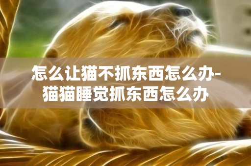 怎么讓貓不抓東西怎么辦-貓貓睡覺抓東西怎么辦