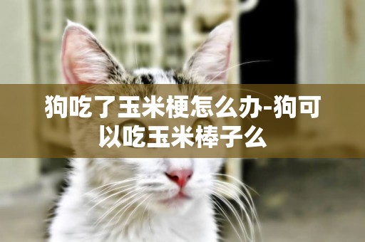 狗吃了玉米梗怎么辦-狗可以吃玉米棒子么