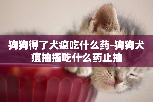 狗狗得了犬瘟吃什么藥-狗狗犬瘟抽搐吃什么藥止抽