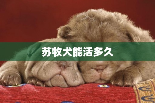 蘇牧犬能活多久