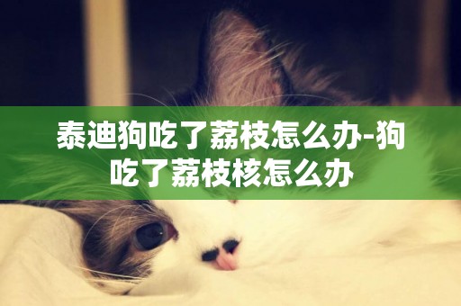 泰迪狗吃了荔枝怎么辦-狗吃了荔枝核怎么辦