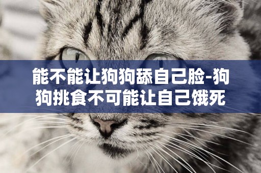 能不能讓狗狗舔自己臉-狗狗挑食不可能讓自己餓死