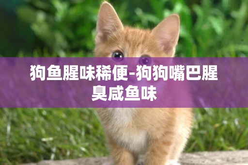 狗魚腥味稀便-狗狗嘴巴腥臭咸魚味