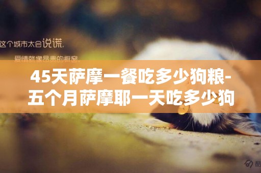 45天薩摩一餐吃多少狗糧-五個月薩摩耶一天吃多少狗糧