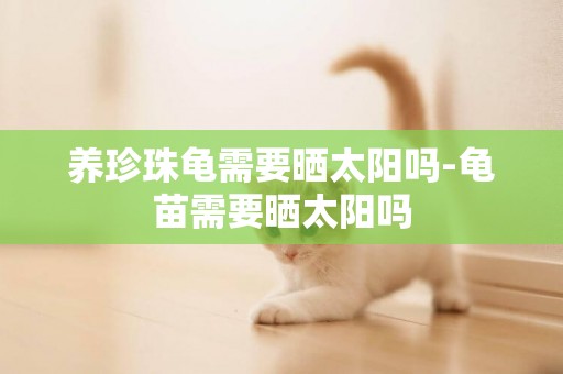 養珍珠龜需要曬太陽嗎-龜苗需要曬太陽嗎