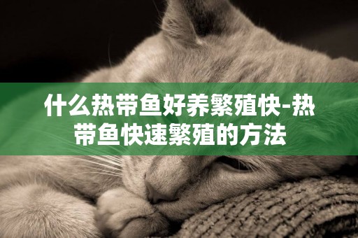 什么熱帶魚好養繁殖快-熱帶魚快速繁殖的方法