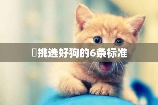 ?挑選好狗的6條標準