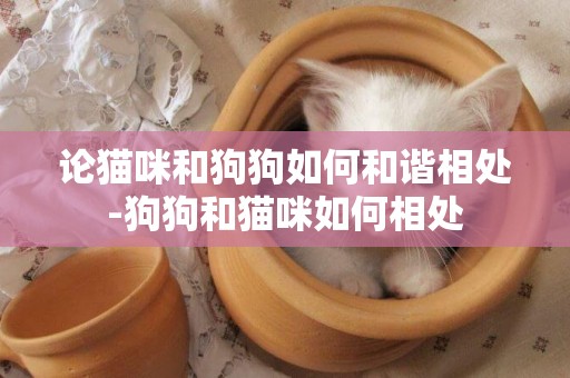 論貓咪和狗狗如何和諧相處-狗狗和貓咪如何相處