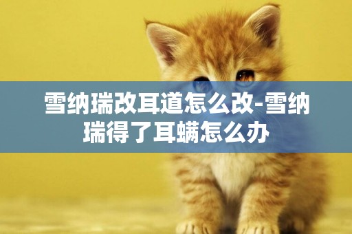 雪納瑞改耳道怎么改-雪納瑞得了耳螨怎么辦