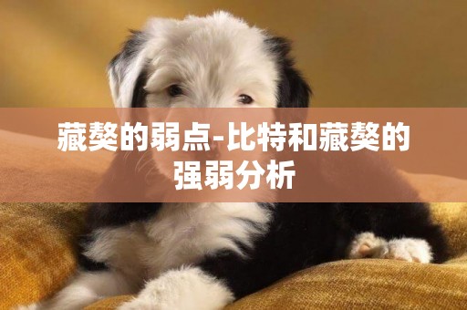 藏獒的弱點-比特和藏獒的強弱分析