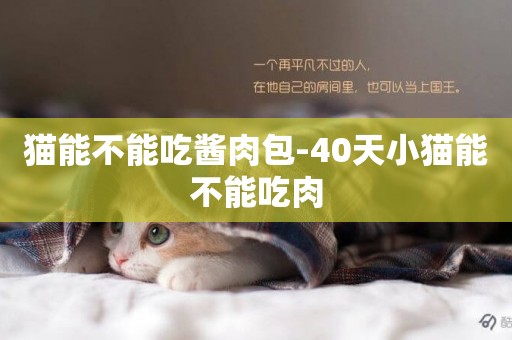 貓能不能吃醬肉包-40天小貓能不能吃肉