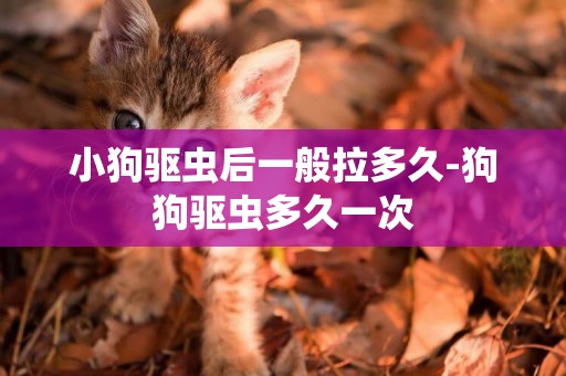 小狗驅蟲后一般拉多久-狗狗驅蟲多久一次