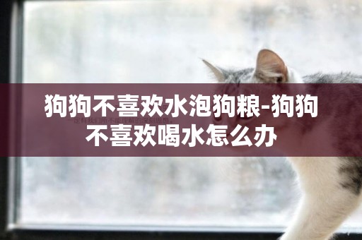 狗狗不喜歡水泡狗糧-狗狗不喜歡喝水怎么辦