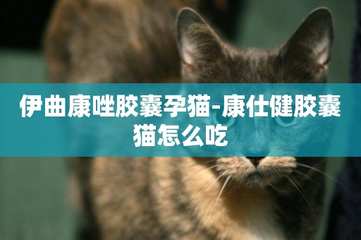 伊曲康唑膠囊孕貓-康仕健膠囊貓怎么吃