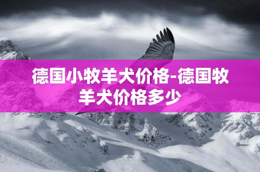 德國小牧羊犬價格-德國牧羊犬價格多少