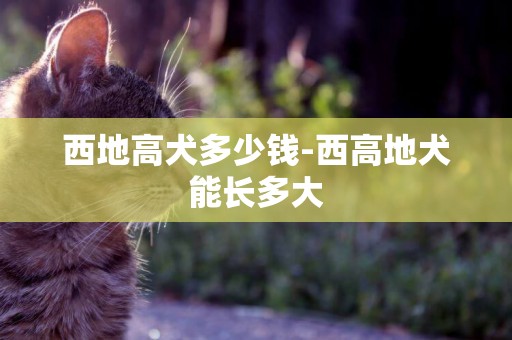 西地高犬多少錢-西高地犬能長多大