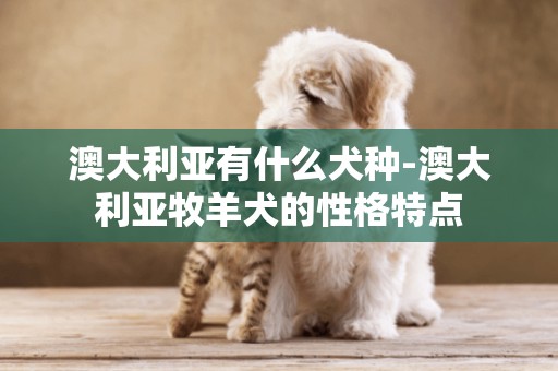 澳大利亞有什么犬種-澳大利亞牧羊犬的性格特點