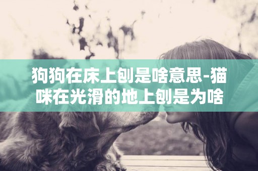 狗狗在床上刨是啥意思-貓咪在光滑的地上刨是為啥