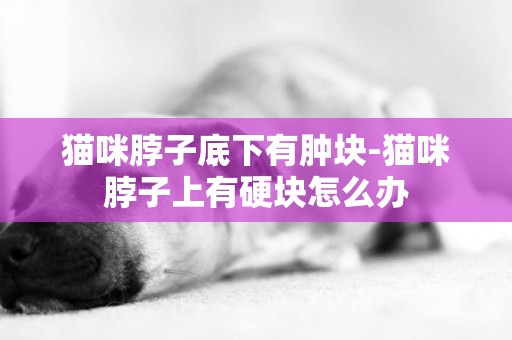 貓咪脖子底下有腫塊-貓咪脖子上有硬塊怎么辦