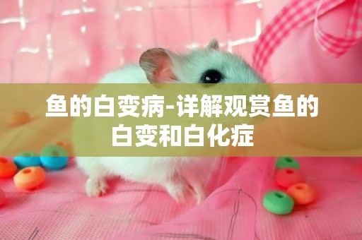 魚的白變病-詳解觀賞魚的白變和白化癥