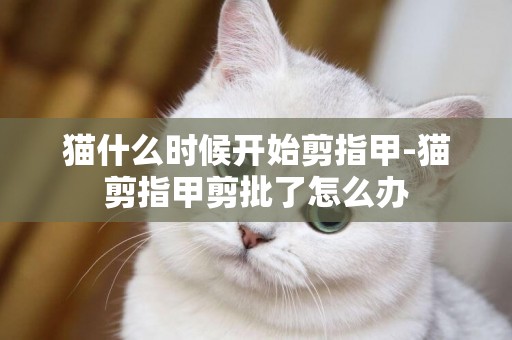 貓什么時候開始剪指甲-貓剪指甲剪批了怎么辦