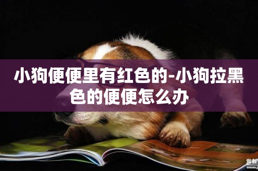小狗便便里有紅色的-小狗拉黑色的便便怎么辦