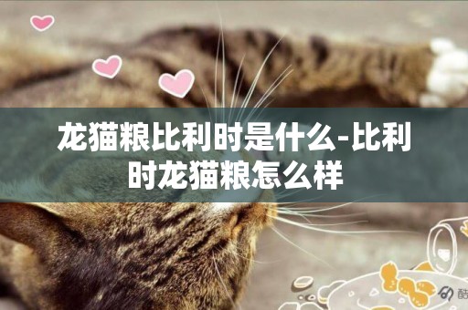 龍貓糧比利時是什么-比利時龍貓糧怎么樣