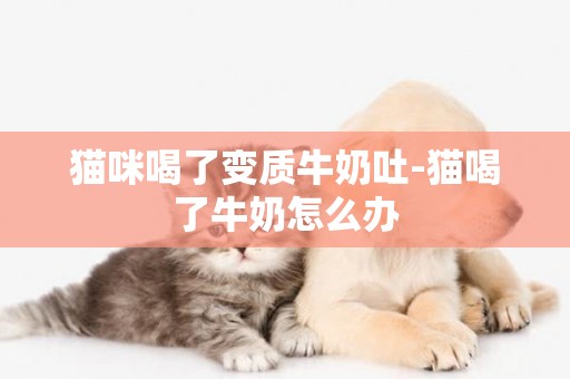 貓咪喝了變質牛奶吐-貓喝了牛奶怎么辦