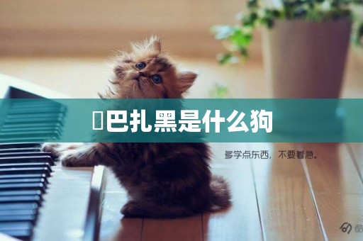 ?巴扎黑是什么狗