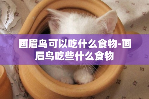 畫眉鳥可以吃什么食物-畫眉鳥吃些什么食物