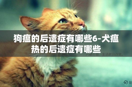 狗瘟的后遺癥有哪些6-犬瘟熱的后遺癥有哪些
