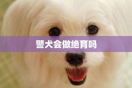 警犬會做絕育嗎