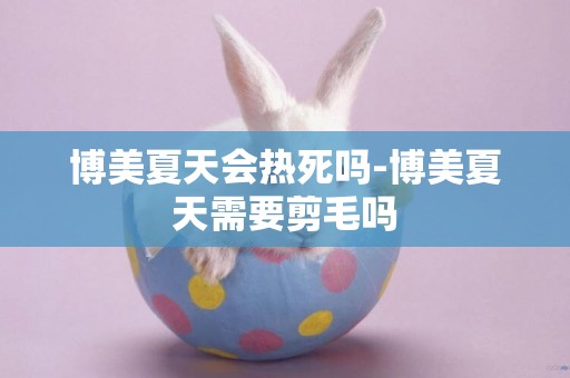 博美夏天會熱死嗎-博美夏天需要剪毛嗎