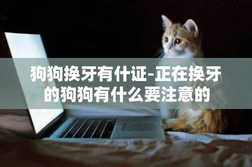 狗狗換牙有什證-正在換牙的狗狗有什么要注意的