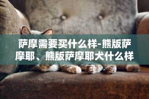 薩摩需要買什么樣-熊版薩摩耶、熊版薩摩耶犬什么樣子