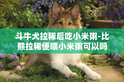 斗牛犬拉稀后吃小米粥-比熊拉稀便喂小米粥可以嗎