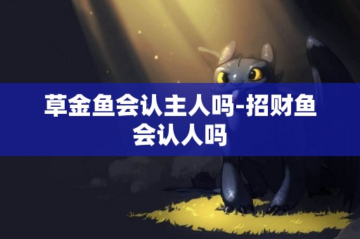 草金魚會認主人嗎-招財魚會認人嗎