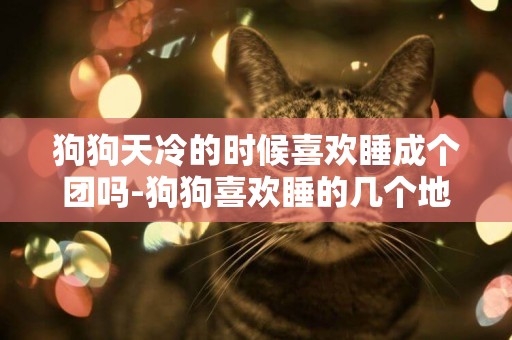 狗狗天冷的時候喜歡睡成個團嗎-狗狗喜歡睡的幾個地方