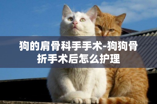 狗的肩骨科手手術-狗狗骨折手術后怎么護理