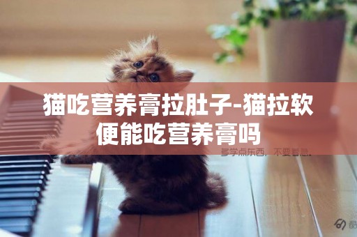 貓吃營養膏拉肚子-貓拉軟便能吃營養膏嗎