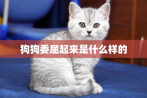 狗狗委屈起來是什么樣的