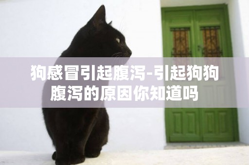 狗感冒引起腹瀉-引起狗狗腹瀉的原因你知道嗎