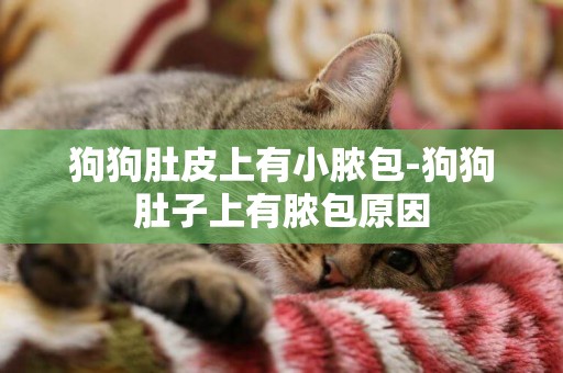 狗狗肚皮上有小膿包-狗狗肚子上有膿包原因