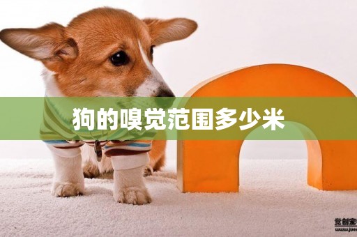 狗的嗅覺范圍多少米