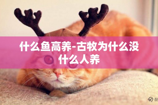 什么魚高養-古牧為什么沒什么人養