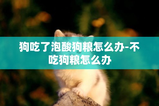 狗吃了泡酸狗糧怎么辦-不吃狗糧怎么辦