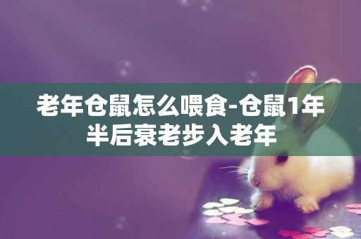 老年倉鼠怎么喂食-倉鼠1年半后衰老步入老年