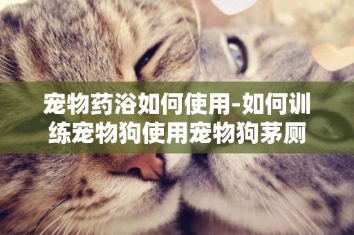 寵物藥浴如何使用-如何訓練寵物狗使用寵物狗茅廁
